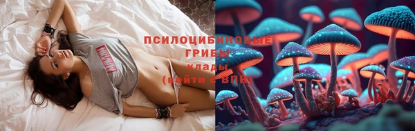 прущие крисы Алексеевка