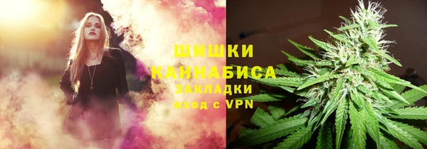 бошки Алексин
