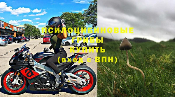 бошки Алексин