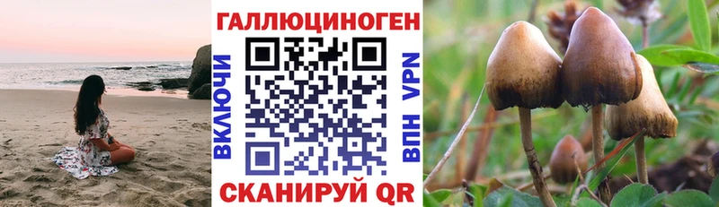 Галлюциногенные грибы Cubensis  цена   Железногорск-Илимский 